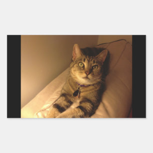 Sticker Rectangulaire Pose modèle Indigo