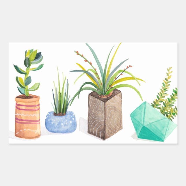 Sticker Rectangulaire Pot de succulents (Devant)