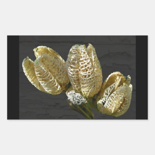 Sticker Rectangulaire Pots De Semences Lily Vide Coordonner Les Éléments