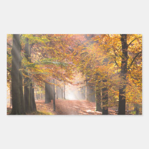 Sticker Rectangulaire Poutres de soleil dans une forêt automnale autocol