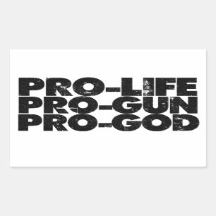 Sticker Rectangulaire Pro-life Pro-gun Pro-dieu