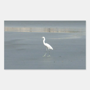 Sticker Rectangulaire Promenade en solo.JPG