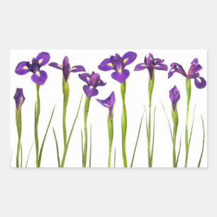 Sticker Rectangulaire Purple Irises - Iris Flower Customisé Modèle