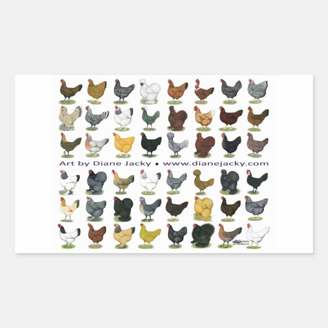 Sticker Rectangulaire Quarante-huit Hen Promo (Devant)
