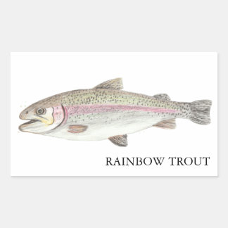 Sticker Rectangulaire Rainbow Trout ニジマス