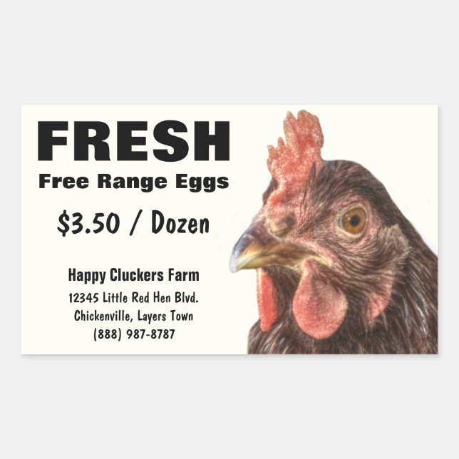 Sticker Rectangulaire Red Laying Hen Chicken Photo (Devant)