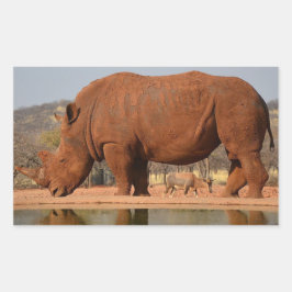 Sticker Rectangulaire Rhino avec boue sur la peau photo