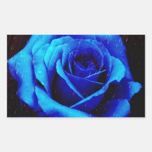 Sticker Rectangulaire Rose bleu spectaculaire