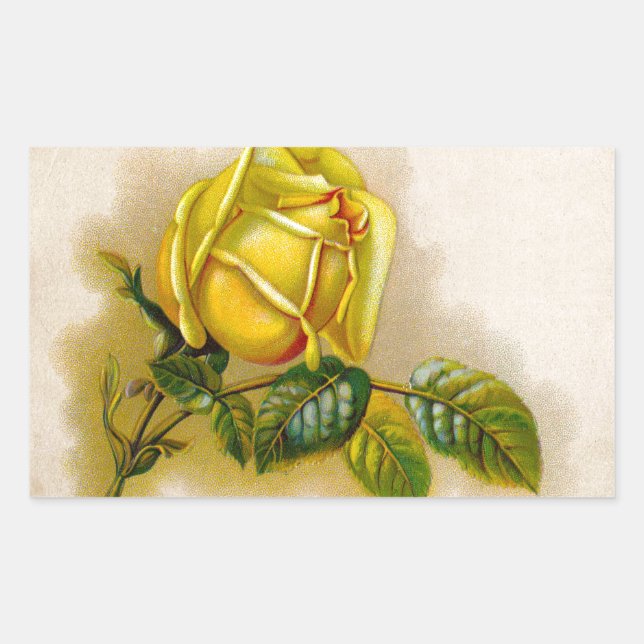 Sticker Rectangulaire Rose jaune Antique Vintage Imprimer Art (Devant)