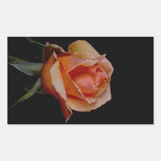 Sticker Rectangulaire Rose orange 3 (Devant)