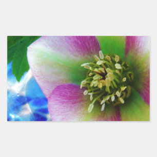 Sticker Rectangulaire Rose rose carême bleu boule de verre