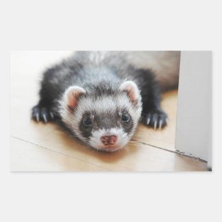 Sticker Rectangulaire Sable Ferret