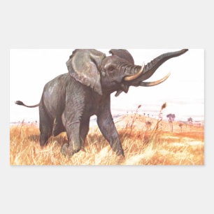 Sticker Rectangulaire Safari Africain Jungle Destinée Animaux Eléphants