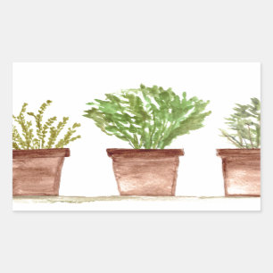 Sticker Rectangulaire Sauge aux herbes, romarin, thym