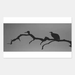Sticker Rectangulaire Silhouette des vautours