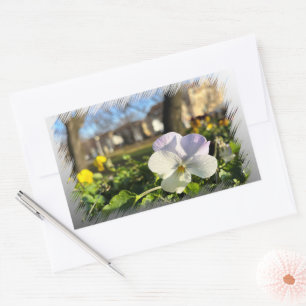 Sticker Rectangulaire Silver white pansy