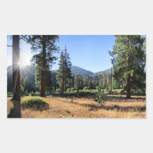 Sticker Rectangulaire Simpson Meadow - Sierra