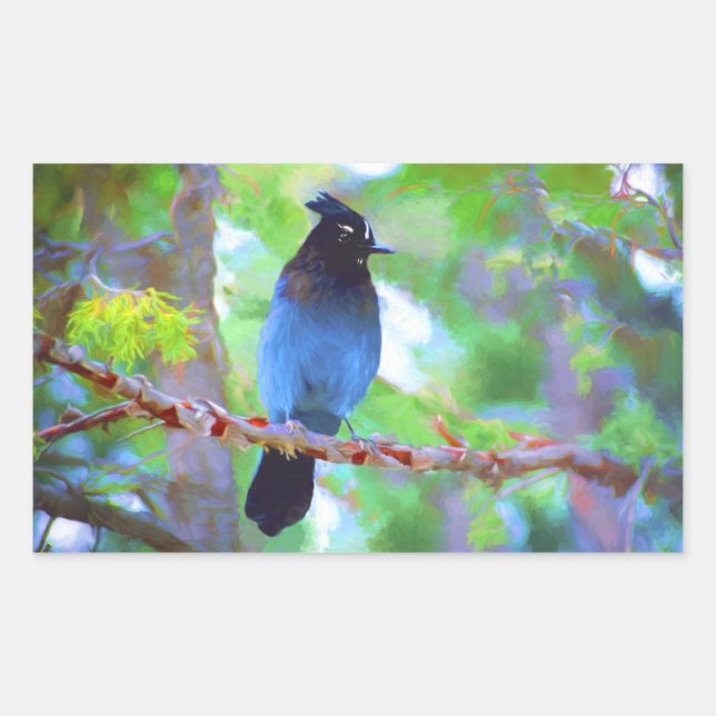Sticker Rectangulaire Steller's Jay Painting - Art original pour oiseaux (Devant)