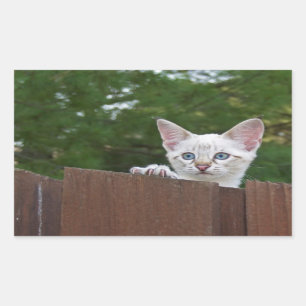 Sticker Rectangulaire Sticule rectangle de chat Savannah blanc