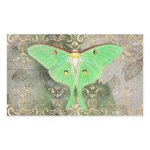 Sticule rectangulaire verte Luna Moth