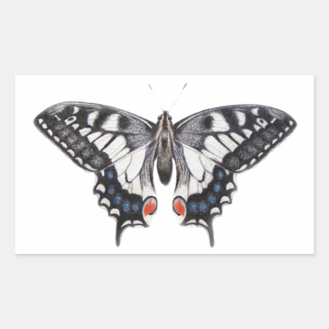 Sticker Rectangulaire Swallowtail 2012 (Devant)