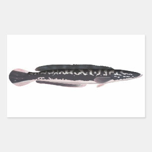 Sticker Rectangulaire Tête de serpent géante