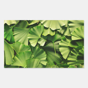Sticker Rectangulaire texture de plante de nature de feuille d'arbre de
