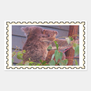 Sticker Rectangulaire Timbre faux de bébé koala
