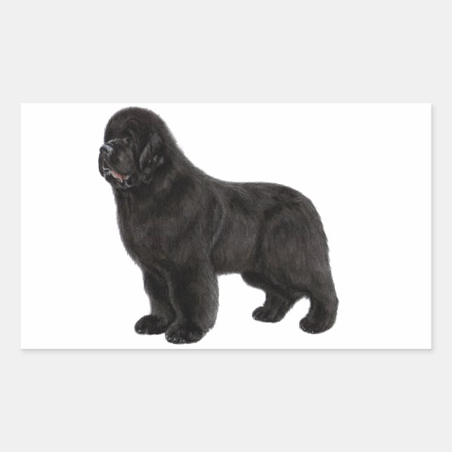 Sticker Rectangulaire Tirage de charbon de chien de Terre-Neuve (Devant)