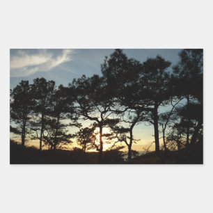Sticker Rectangulaire Torrey Pine Sunset II Californie Paysage