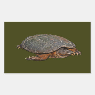 Sticker Rectangulaire Tortue serpentine Terrapin-lover Cadeau