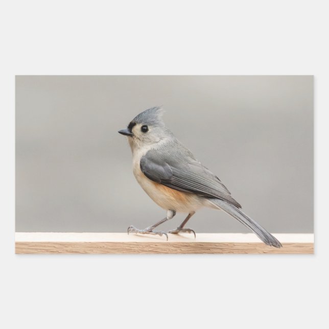 Sticker Rectangulaire Touffé (Devant)