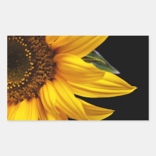 Sticker Rectangulaire Tournesols - Tournesol Customisé Modèle blanc