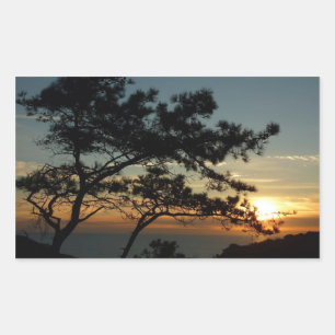 Sticker Rectangulaire Tourrey Pine Sunset I California Paysage