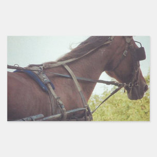 Sticker Rectangulaire Transport par cheval
