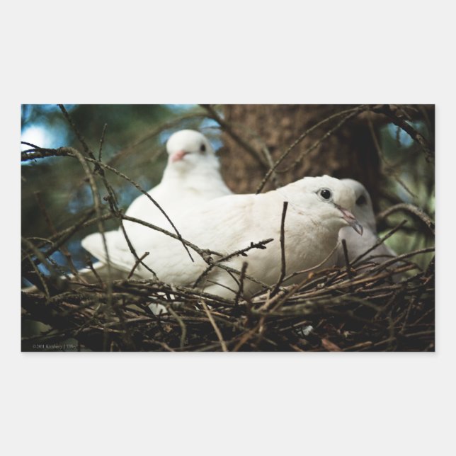 Sticker Rectangulaire Trois dans un arbre (Devant)