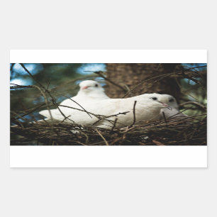 Sticker Rectangulaire Trois dans un arbre