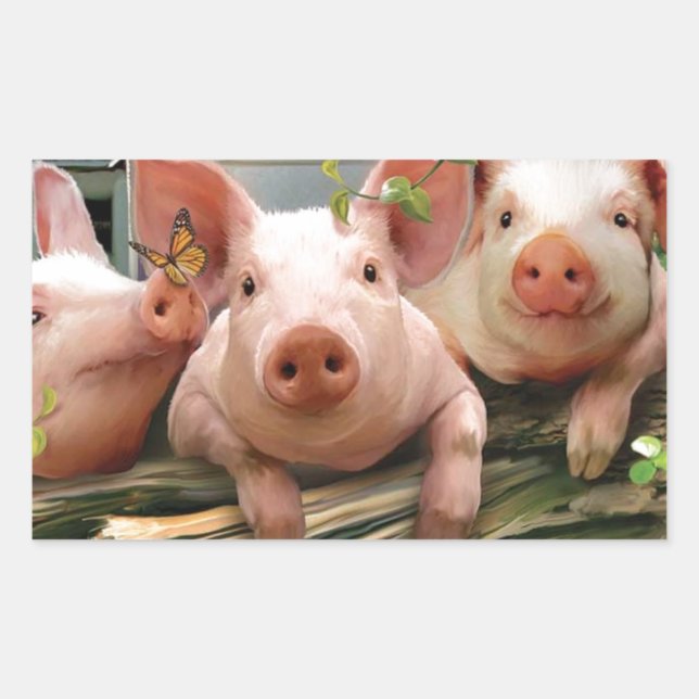 Sticker Rectangulaire Trois petits cochons (Devant)