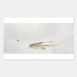 Sticker Rectangulaire Truite chassant la mouche d'un pêcheur