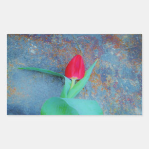 Sticker Rectangulaire Tulipe rouge sur ardoise gris bleu