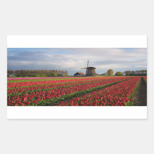 Sticker Rectangulaire Tulipes rouges et un moulin à vent
