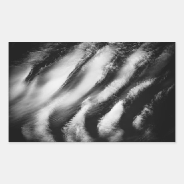 Sticker Rectangulaire vautours tombé (Devant)