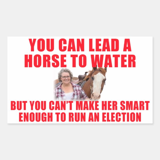Sticker Rectangulaire Vous pouvez conduire un cheval à l'eau (Devant)