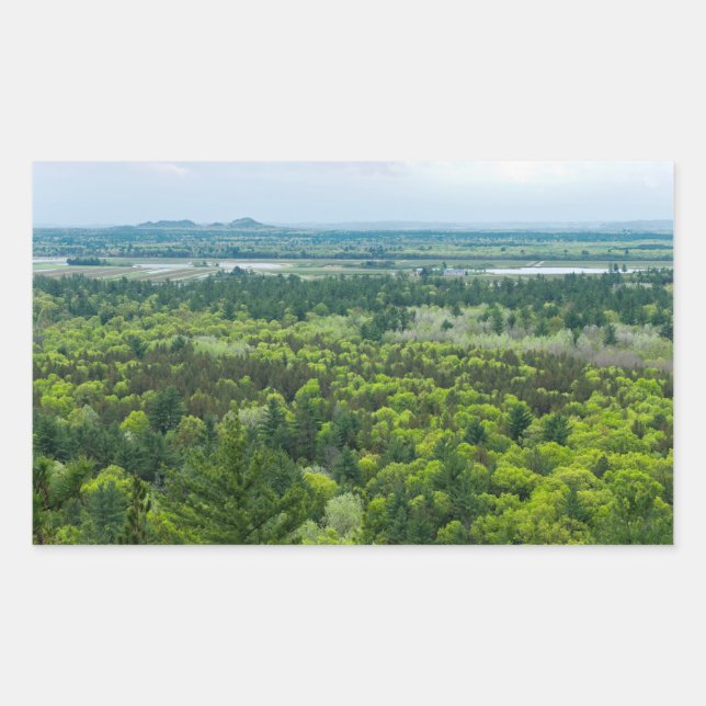 Sticker Rectangulaire Vue aérienne de la forêt de Black River State (Devant)
