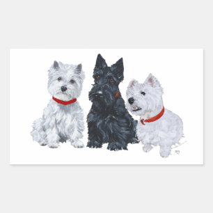Sticker Rectangulaire Westies and a Scottie Together