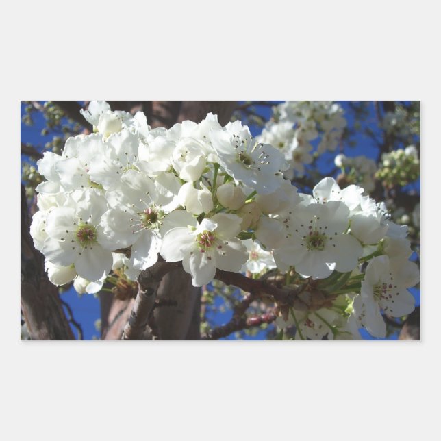 Sticker Rectangulaire White Blossoms II (Devant)