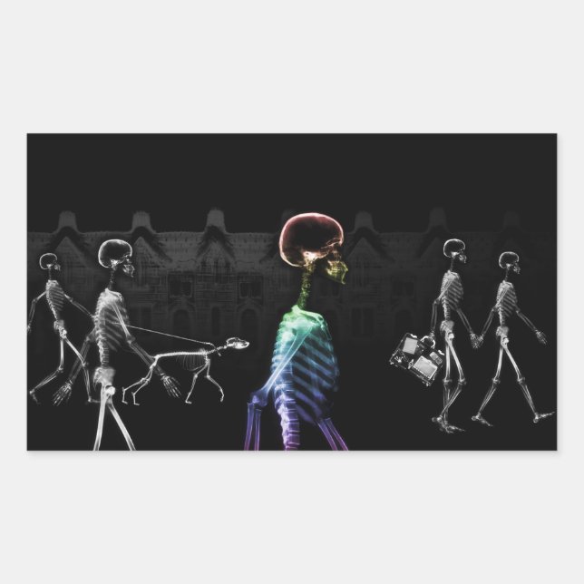 Sticker Rectangulaire X-Ray Skeletons Midnight Stroll - B&W & Rainbow (Devant)