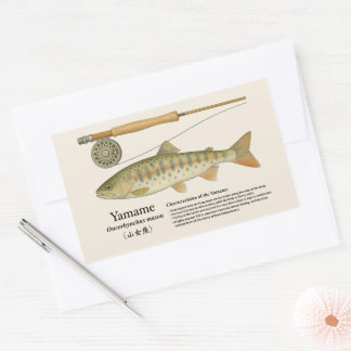 Sticker Rectangulaire Yamame (Oncorhynchus masou) – English Illust
