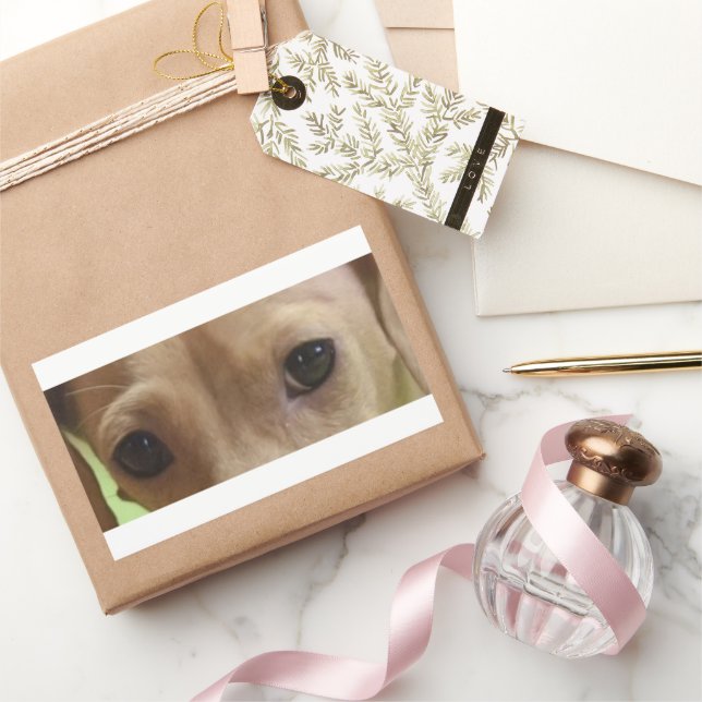 Sticker Rectangulaire yeux crème dachshund (Cadeaux)