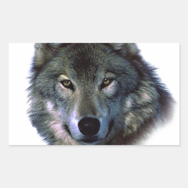 Sticker Rectangulaire Yeux de loup gris (Devant)